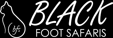 Black Foot Safaris